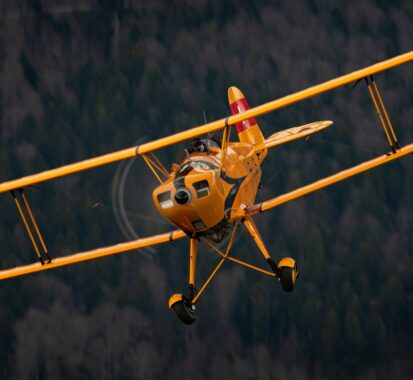 Bücker Bü 131 Jungmann